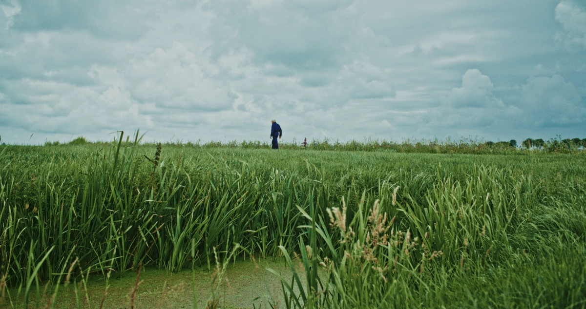 De stem van het landschap - Première